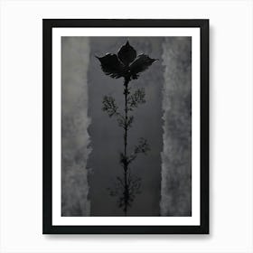 'Black And White' 4 Art Print