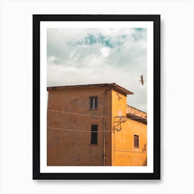 Eagle Flying Over A Building Art Print