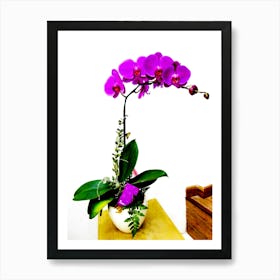 Orchid Art 1 Art Print