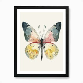 Colourful Insect Illustration Butterfly 30 Art Print