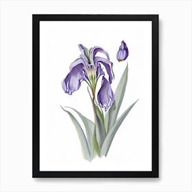 Iris Floral Quentin Blake Inspired Illustration 1 Flower Art Print