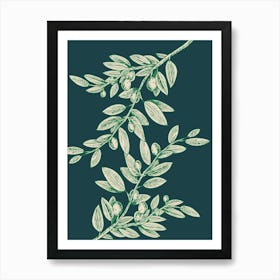 Olive Branch Art Print