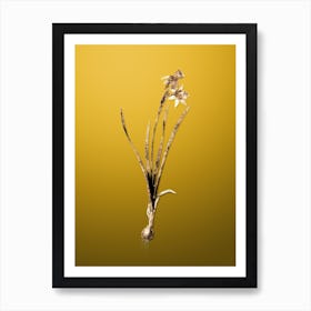 Gold Botanical Narcissus Calathinus on Mango Yellow n.2856 Art Print