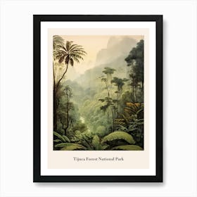 Tijuca Forest National Park Art Print