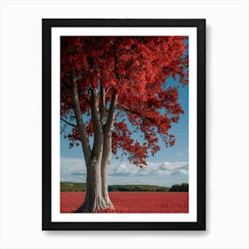 Red Tree In A Field Art Print