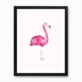 Flamingo Art Print