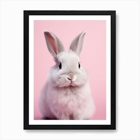 Cute Rabbit On Pink Background Art Print