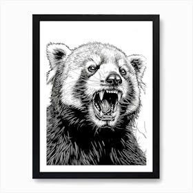 Red Panda Growling Ink Illustration 4 Art Print