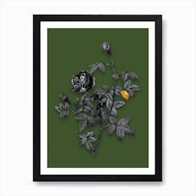 Vintage Moss Rose Black and White Gold Leaf Floral Art on Olive Green n.1201 Art Print