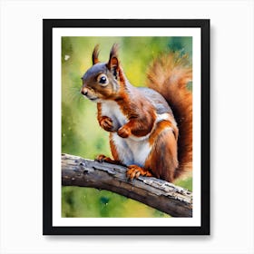 American Red Squirrel Art Print