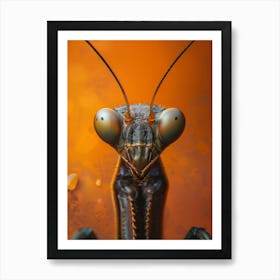 Praying Mantis Art Print