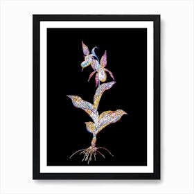 Stained Glass Lady's Slipper Orchid Mosaic Botanical Illustration on Black n.0048 Art Print