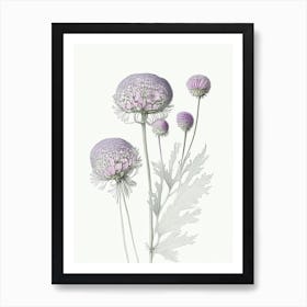 Scabiosa Floral Quentin Blake Inspired Illustration 4 Flower Art Print