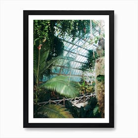 Cuninghams Botanic Garden Ii Art Print