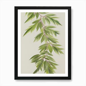 Watercolor Leaves Branch Nature Plant Growing Still Life Botanical Study Art Print