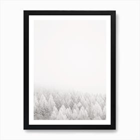Winter Forest Scenery Art Print