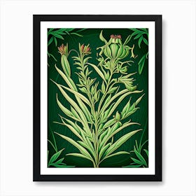 Tarragon Herb Vintage Botanical Art Print