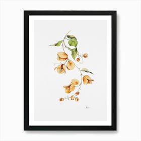 Orange Bougainvillea Art Print