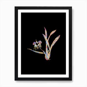 Stained Glass Clamshell Orchid Mosaic Botanical Illustration on Black Art Print