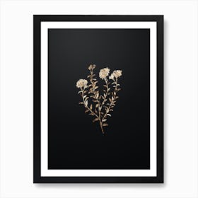 Gold Botanical Dr. Gills Selago Flower on Wrought Iron Black n.1598 Art Print