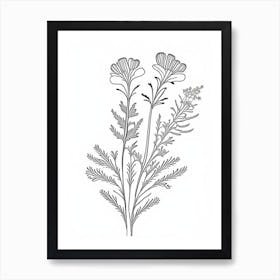 Costmary Herb William Morris Inspired Line Drawing 2 Art Print