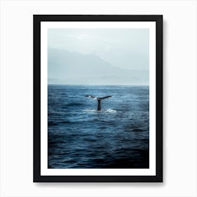 Whale Watching In Kaikoura, New Zealand Art Print