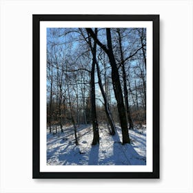 Winter Forest 4 Art Print