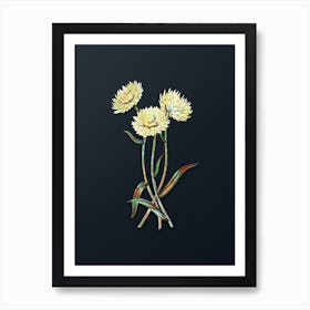 Vintage Helichrysum Flower Branch Botanical Watercolor Illustration on Dark Teal Blue n.0199 Art Print