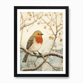 Bird Illustration European Robin 4 Art Print