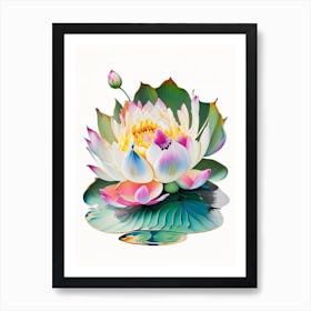 Blooming Lotus Flower In Lake Decoupage 2 Art Print