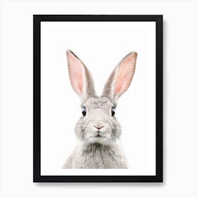 Bunny Face Art Print