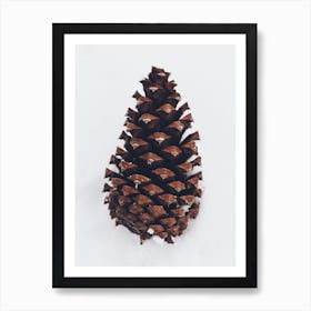 Winter Pinecone Art Print