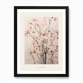 Flower Illustration Gypsophila Babys Breath 5 Poster Art Print