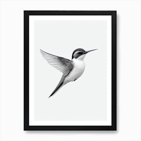 Swallow B&W Pencil Drawing 1 Bird Art Print