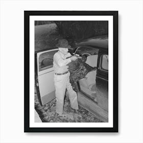 Farmer Removing Turkey From His Car Which He Has Brought To The Cooperative Poultry House, Brownwood, Texas By Art Print