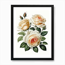 Vintage Galleria Style Rose Art Painting 28 Art Print