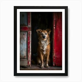 Dog In Doorway Art Print