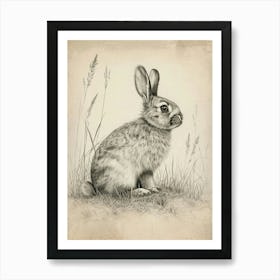 English Lop Drawing 3 Art Print