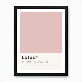 Lotus Art Print