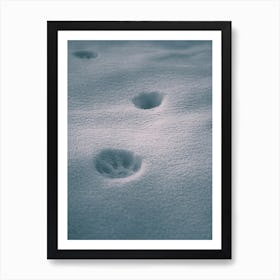 Paw In Blue Snow Art Print