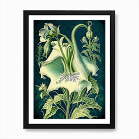 Canterbury Bell 1 Floral Botanical Vintage Poster Flower Art Print