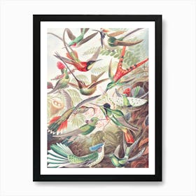 Hummingbirds 2.0 Art Print