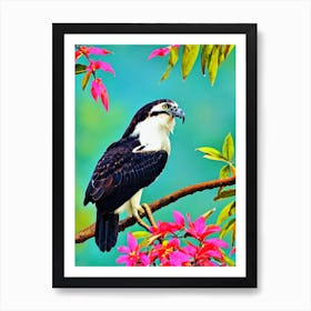 Osprey Tropical bird Art Print