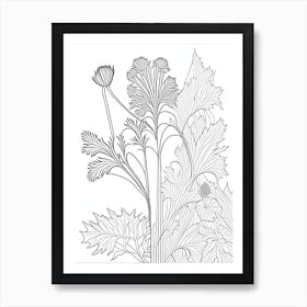 Angelica Herb William Morris Inspired Line Drawing 1 Art Print