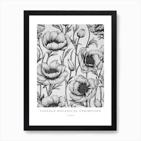 Cosmos B&W Vintage Botanical Poster Art Print