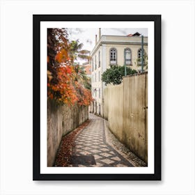 Sintra Autumn Alley Nature Palette Art Print