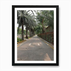 Palm Trees On A Road Art Print