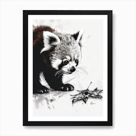 Red Panda Cub Playing With A Fallen Leaf Ink Illustration 4 Art Print