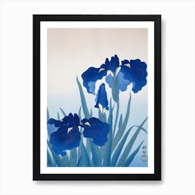 Iris Flowers, Ohara Koson Art Print