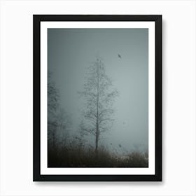 A Tree In A Foggy Forest. Art Print